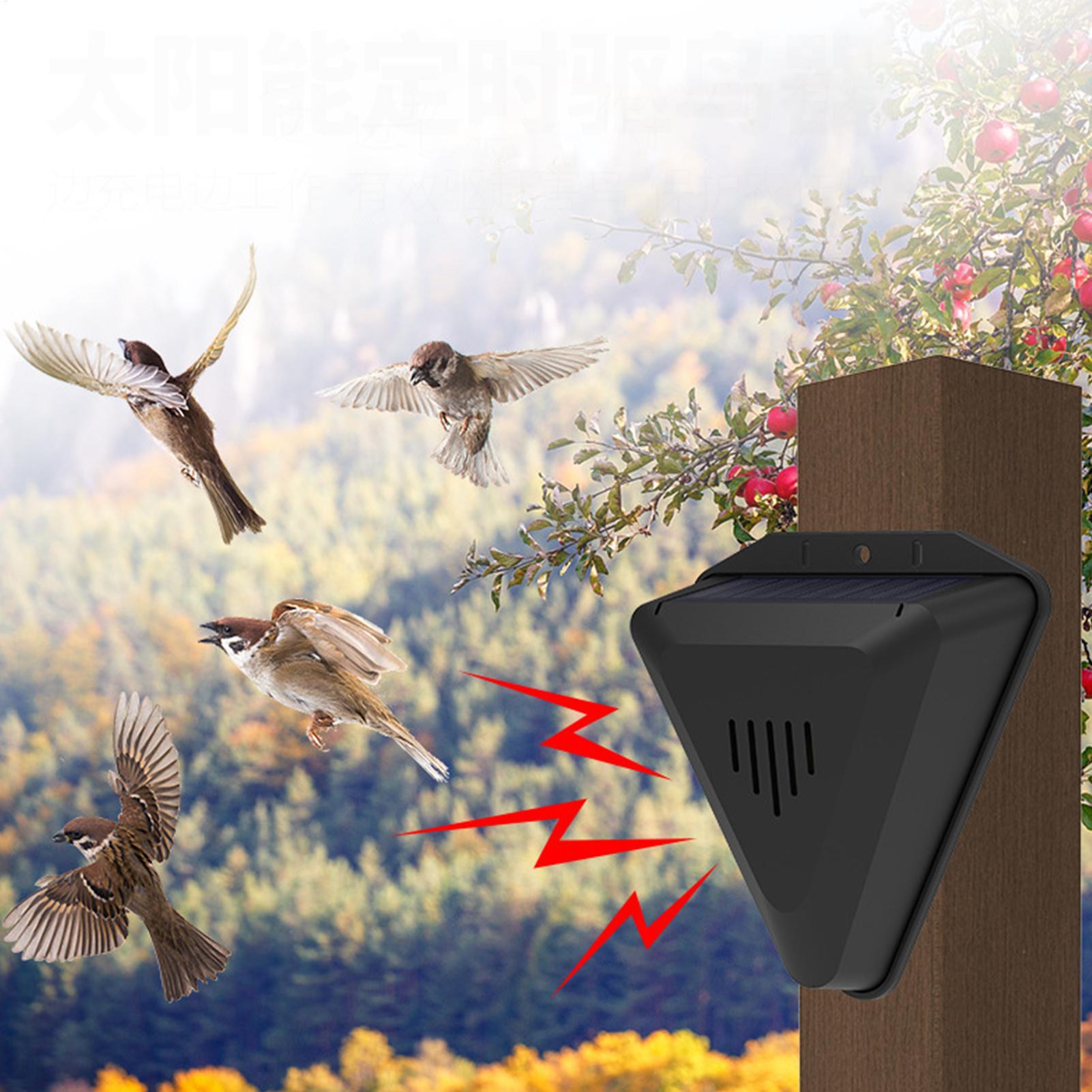 طارد طيور يعمل بالطاقة الشمسية - مراجعة Solar Bird Scarer وسعره