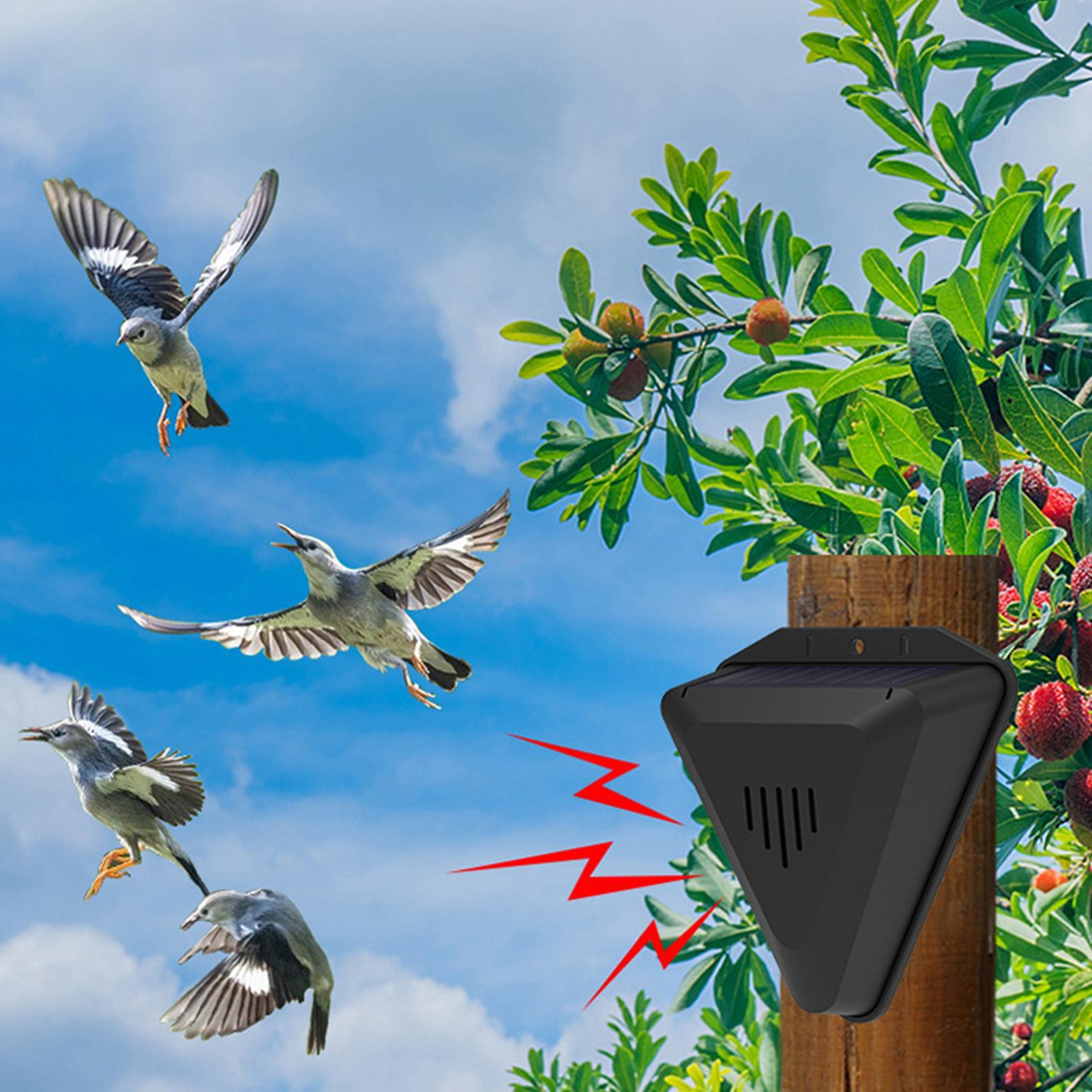 طارد طيور يعمل بالطاقة الشمسية - مراجعة Solar Bird Scarer وسعره