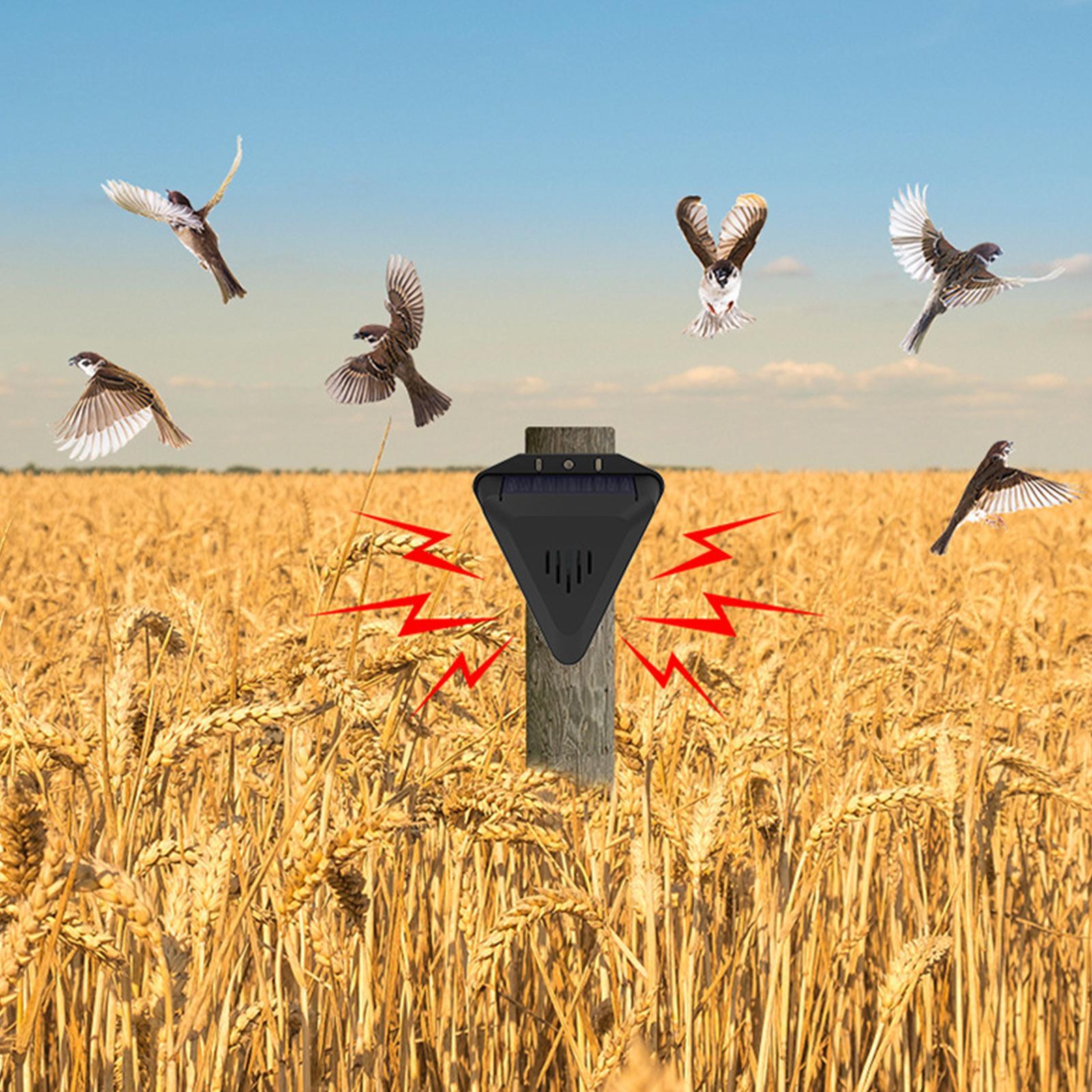 طارد طيور يعمل بالطاقة الشمسية - مراجعة Solar Bird Scarer وسعره